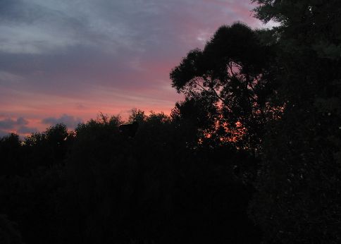 enlarge