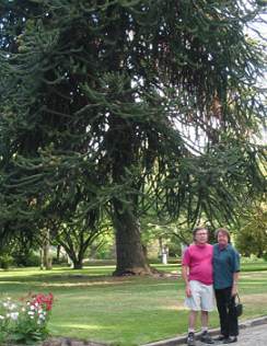 enlarge gardens