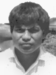 Rogo